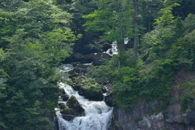 DSC_3973 (Large).JPG